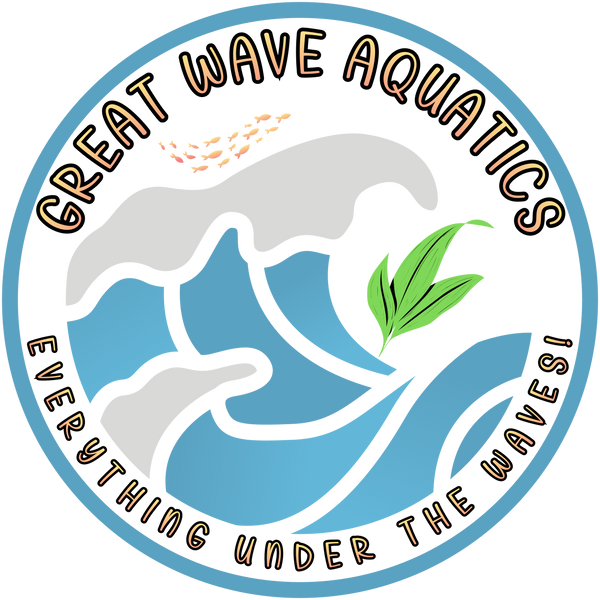 Great Wave Aquatics