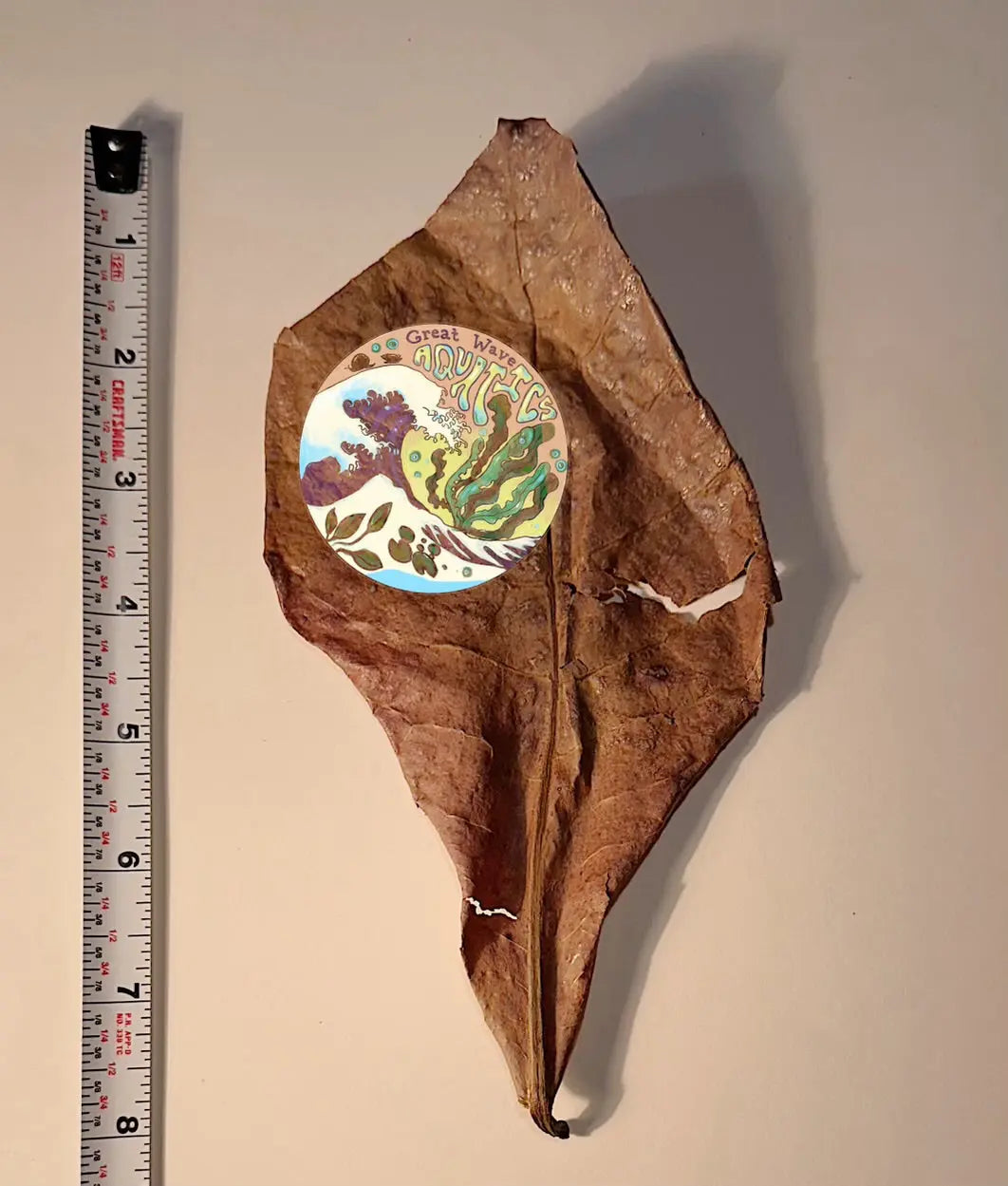 Indian Almond Catappa Leaves 3ct. for Shrimp / Aquarium - Great Wave Aquatics